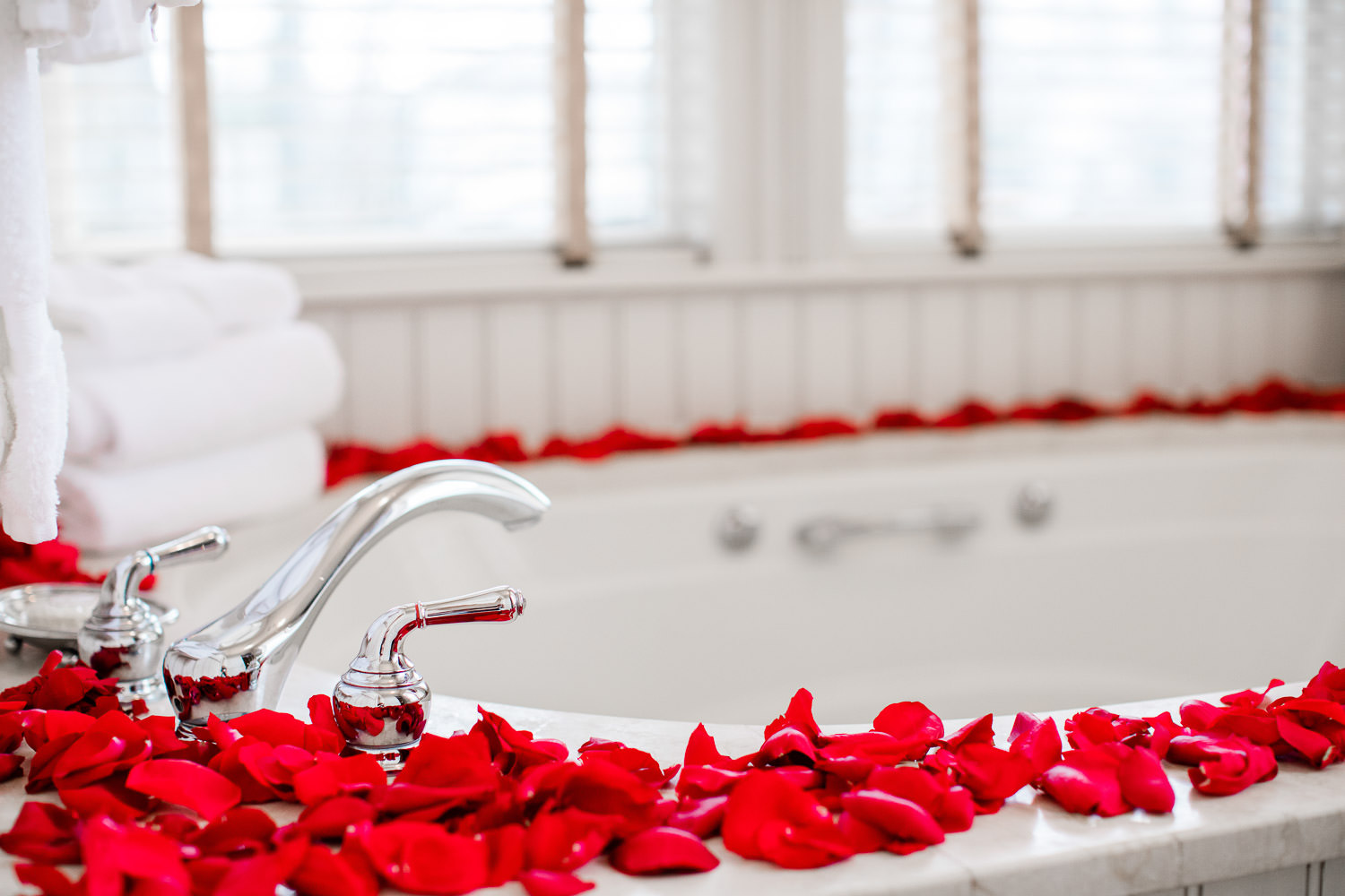 rose paddles for Romantic Proposal at the Wentworth Mansion