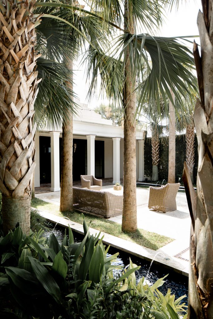 Cannon Green courtyard, palmetto trees