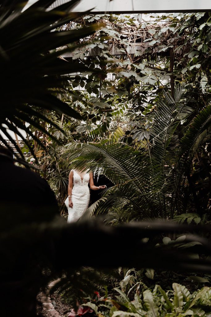 Bride and groom in Conservatory at Magnolia Plantation hiding behind leaves