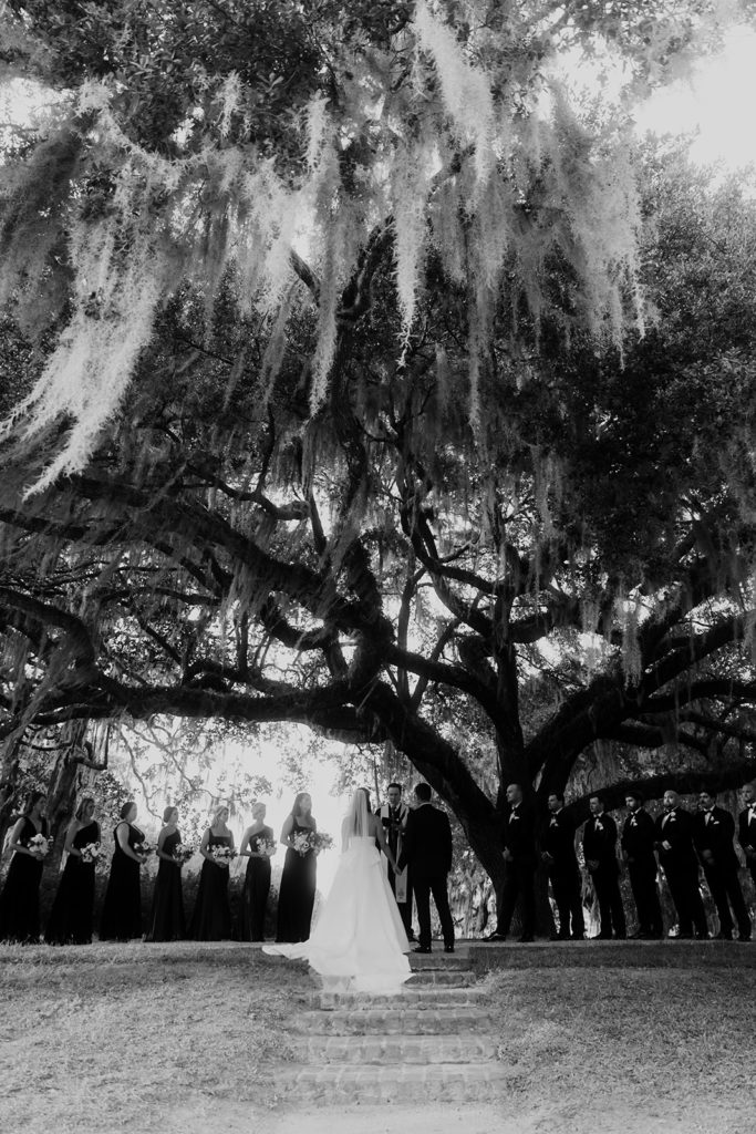 Middleton place wedding ceremony under oak tree with Spanish moss