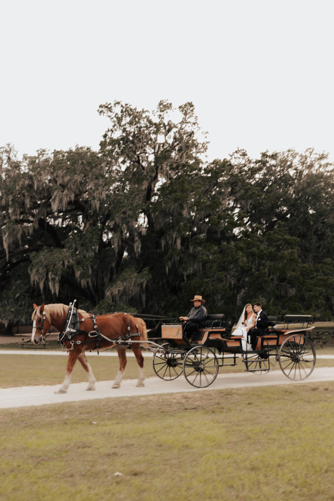 Bride and groom taking horse carriage at Middleton Place