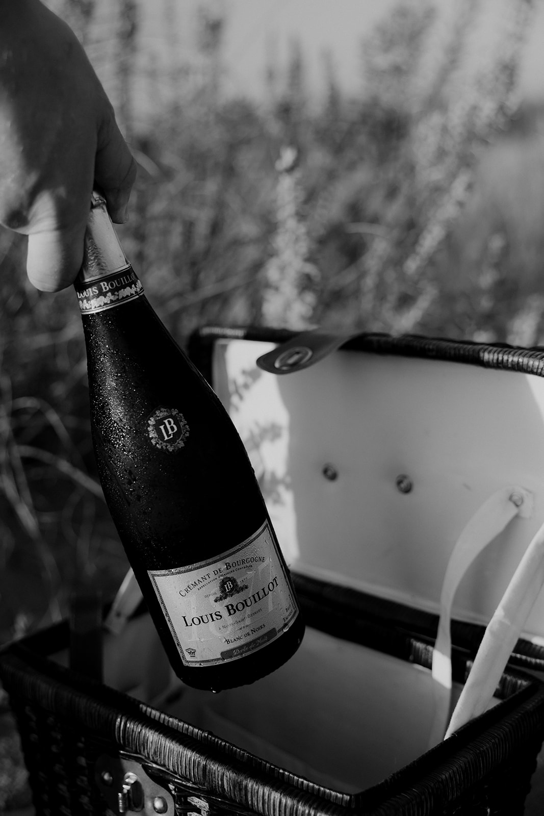 A bottle of champagne out of picnic basket at Charleston Beach Engagement prop