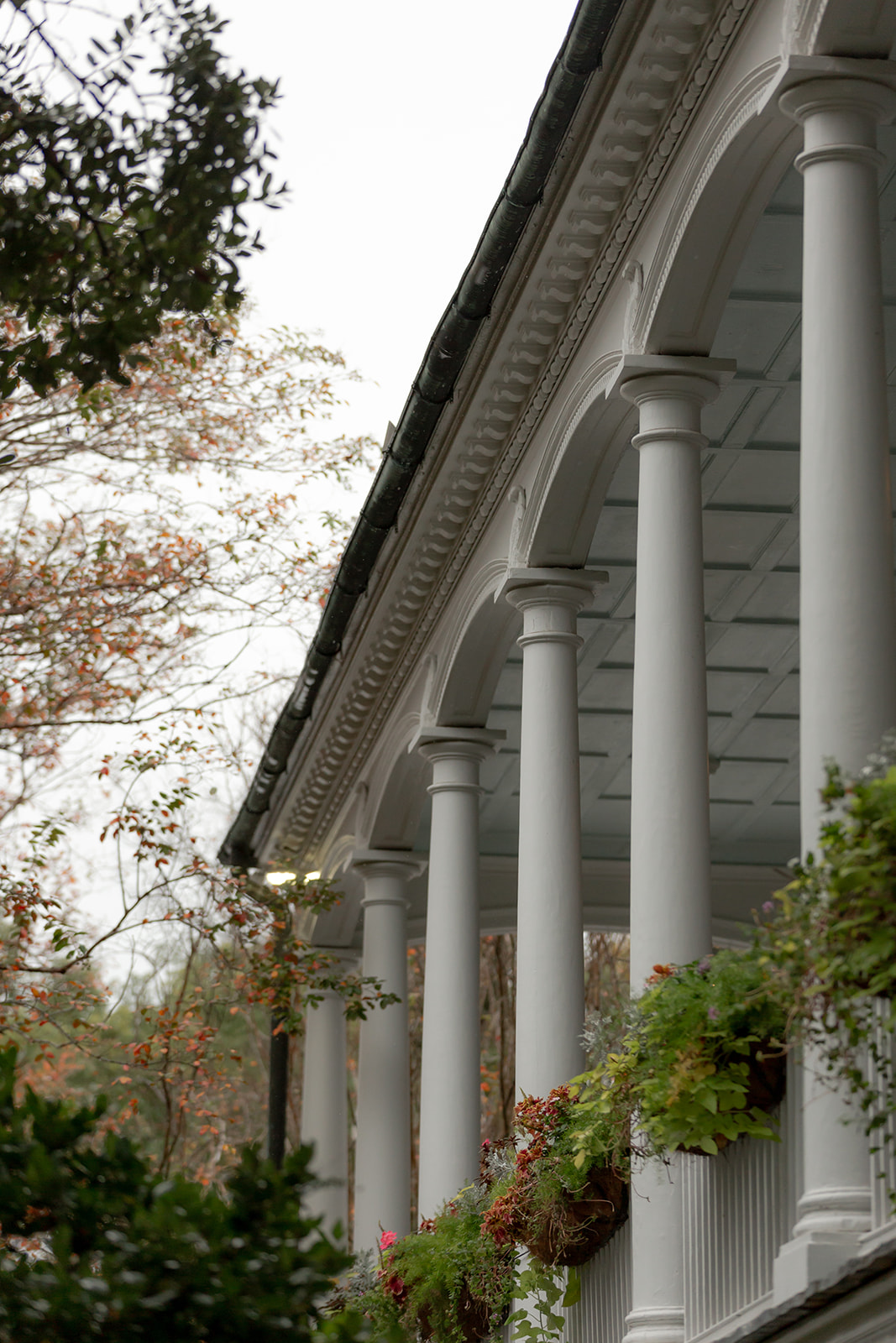 Wedding at Gov. Thomas Bennett House. White Classical Revival columns at colonial house