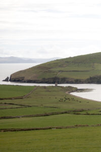 View from the Pax Guest House in Dingle