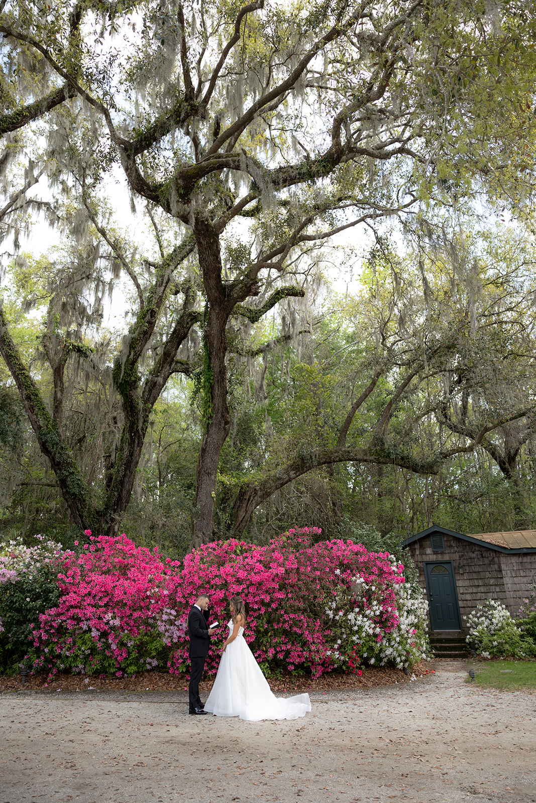 First look of bride and groom at Magnolia Plantation Wedding. Red azaleas blooming in the background and hugh oak trees.