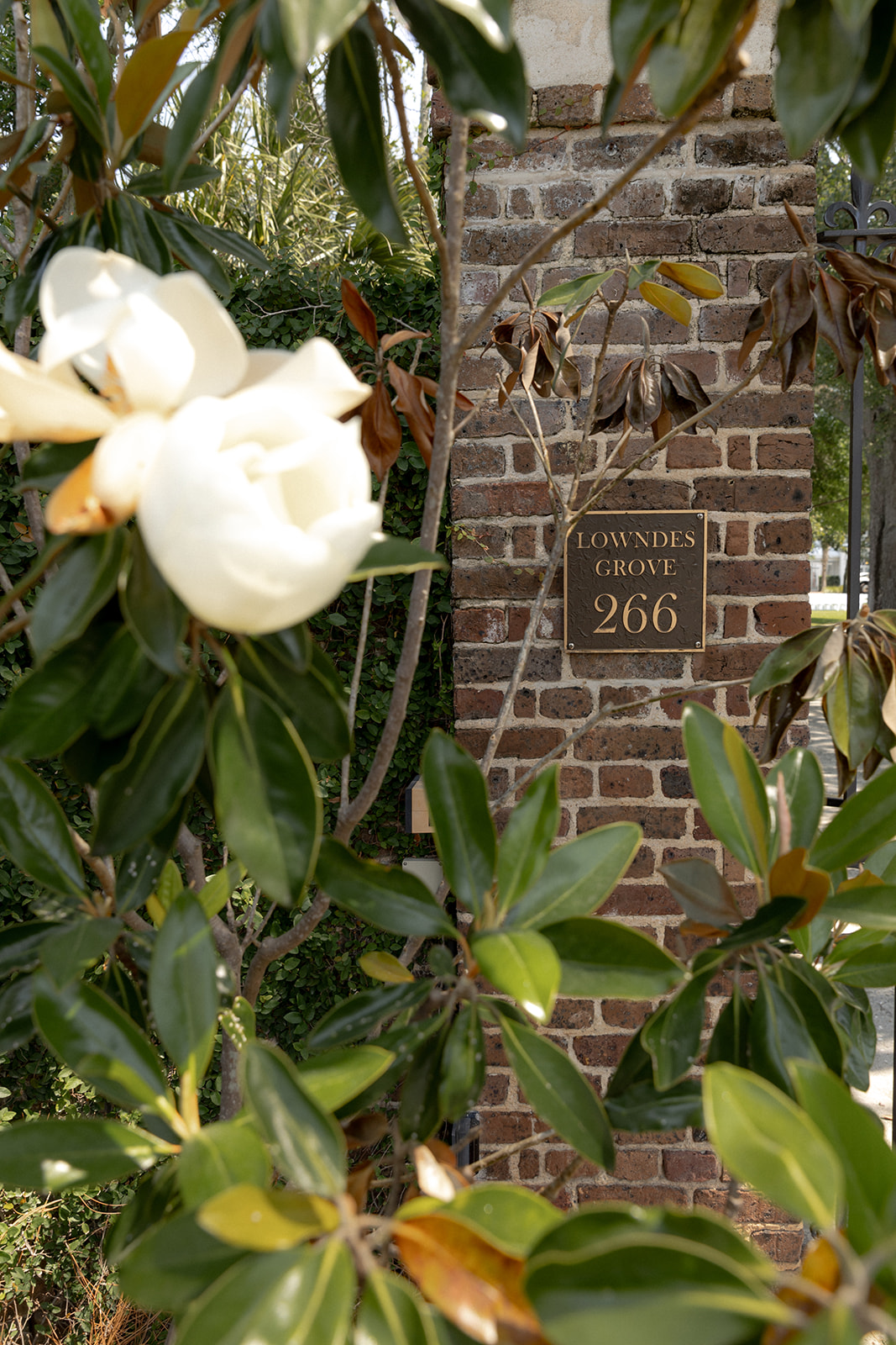 Entrance sign between Magnolia blossoms at Lowndes Grove greeting the wedding guests