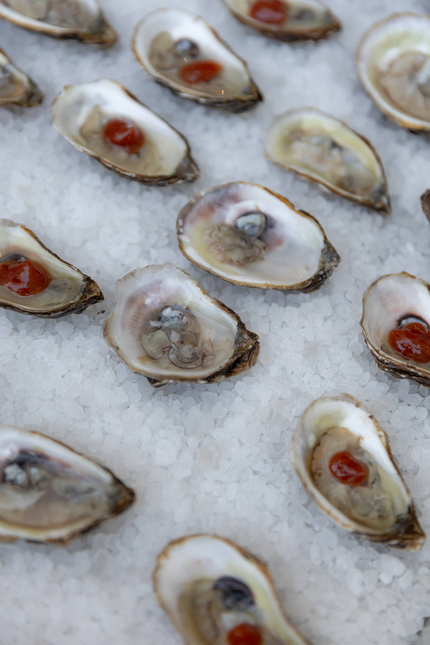 Oysters served at cocktail hour after wedding ceremony