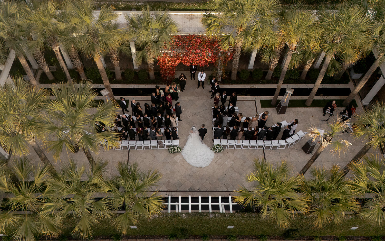 Drone photo of bride walking down the aisle at Cannon Green courtyard with dramatic dress. Green palmetto trees framing the photo at this Winter Wedding in Charleston.