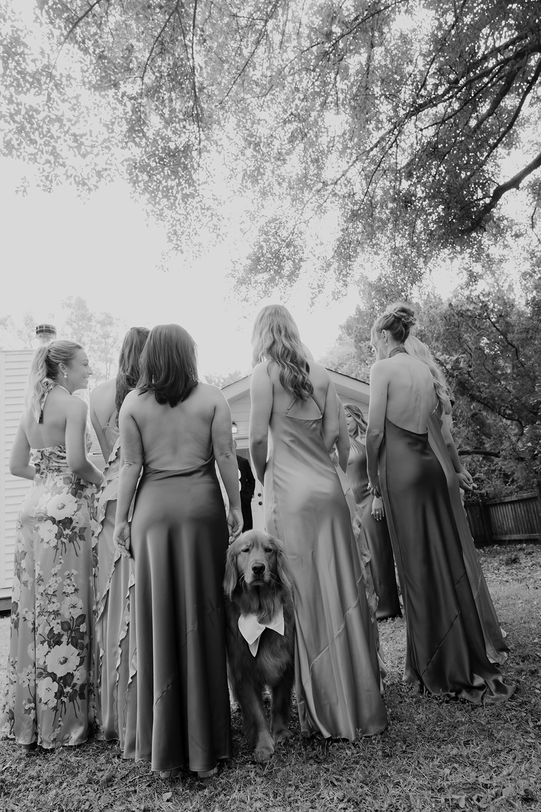 Golden Retriever sticking its head out surrounded by bridesmaids dresses at Middleton Place Wedding